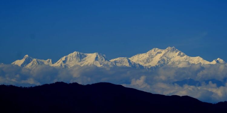 Sittong: Unveiling Natures Bounty in Darjeelings Hidden Gem