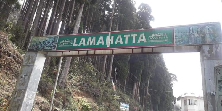 Exploring Lamahatta A Hidden Gem in Darjeeling