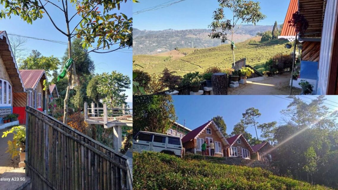 Cheeya Baari Homestay in sonada, Darjeeling