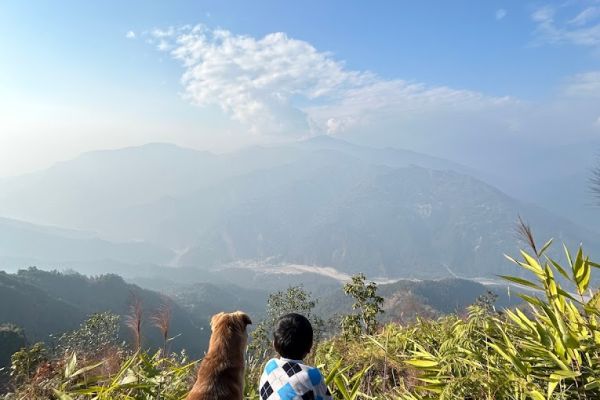Mayaavea Homestay in Fikkaley Gaon, Kalimpong images